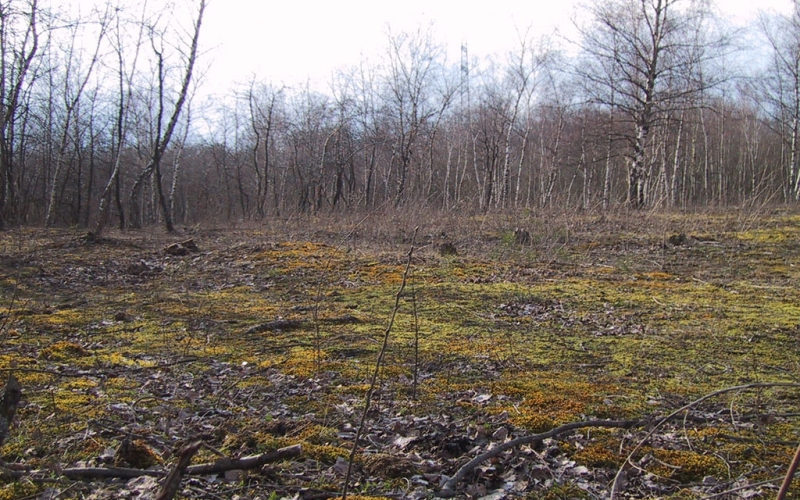 Ich sehe was, was du nicht siehst und das ist…