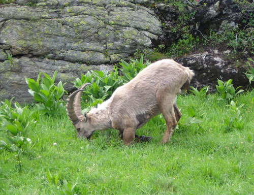 Hoppraus-Adventskalender: 3. Dezember