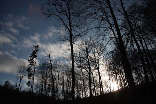 Digital-Walk-In-Motion