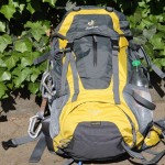 Deuter Futura 26 granite/neon