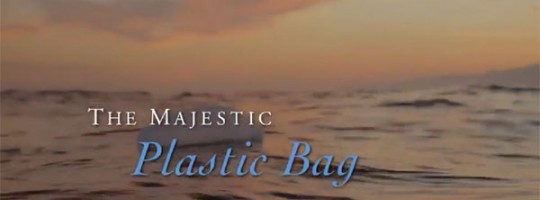 The Majestic Plastic Bag - Video