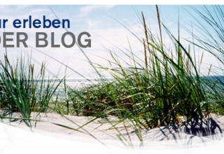 Der Cache für den pflegebewussten Outdoor-Mann