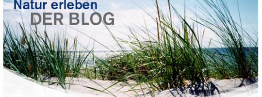 natur-erleben.de - Screenshot