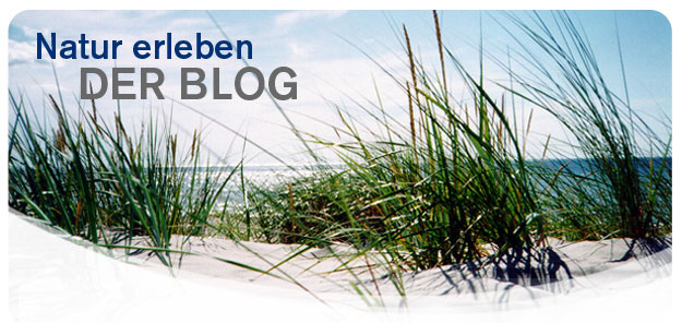 natur-erleben.de - Screenshot