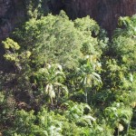 115-1507_IMG 115-1507_IMG