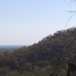 115-1508_IMG 115-1508_IMG