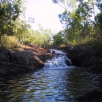 115-1514_IMG 115-1514_IMG