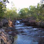 115-1515_IMG 115-1515_IMG