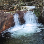 115-1516_IMG 115-1516_IMG