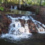 115-1518_IMG 115-1518_IMG