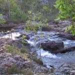 115-1519_IMG 115-1519_IMG