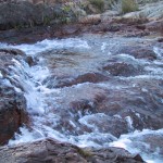 115-1521_IMG 115-1521_IMG