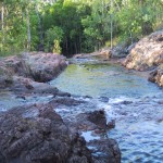 115-1522_IMG 115-1522_IMG