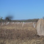 115-1524_IMG 115-1524_IMG