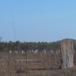 115-1525_IMG 115-1525_IMG