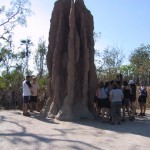 115-1526_IMG 115-1526_IMG