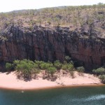 115-1529_IMG 115-1529_IMG