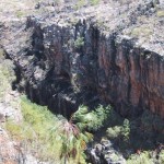 115-1530_IMG 115-1530_IMG