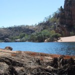 115-1535_IMG 115-1535_IMG