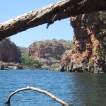 115-1536_IMG 115-1536_IMG