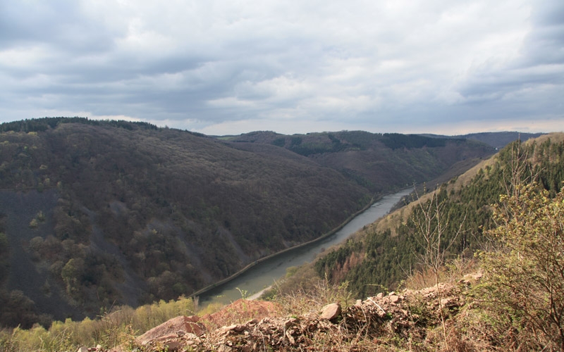 Wanderbares Saarland – Saarhölzbachpfad