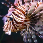 7112082411_e9672707aa_c