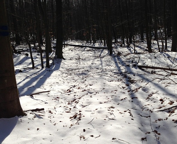 Mittagspause (Instagram)